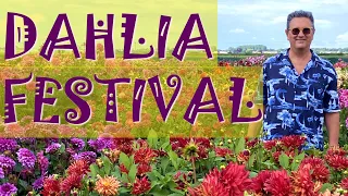 Dahlia Festival Netherlands 2022- Not Just Tulips Anymore