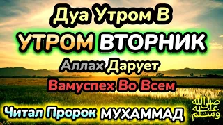 Дуа утром во вторник на Удачу.ВЫ ПОЛУЧИТЕ МНОГО ДЕНЕГ И НЕОГРАНИЧЕННОЕ БОГАТСТВО.ИншаАллах.