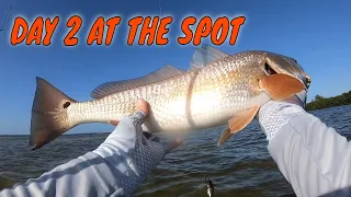 BACK AT IT AGAIN DAY 2 AT THE PLACE WERE I LEARNED TO WADEFISH GRASS FLATS EPIC REDFISH BATTLES