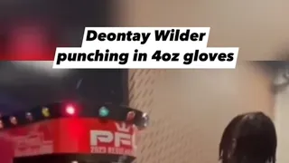 Deontay Wilder Punch Machine