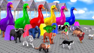 6 Giant Duck Cow Cartoon,Elephant,Lion,Gorilla,Dinosaur,Buffalo Fountain Crossing Transformation