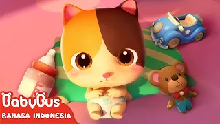 Bayi Kucing Super Lucu & Imut 🍼| Lagu Anak & Kartun Anak | Kebiasaan Baik | BabyBus Bahasa Indonesia