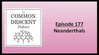 Episode 177 - Neanderthals