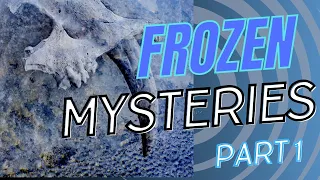 20 Strangest Things Found Frozen in Ice - Part 1