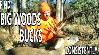 Find BIG WOODS BUCKS Consistently with this One Strategy