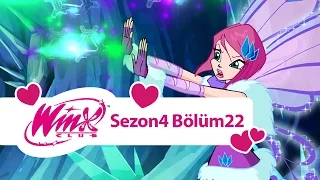 Winx Club - 4. Sezon 22. Bölüm  - Buz Kulesi [TAM BÖLÜM]