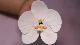 Gumpaste Phalaenopsis Orchid Tutorial