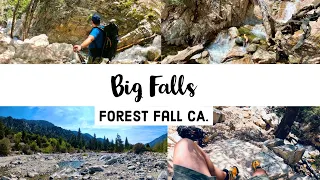 Big Fall CA.