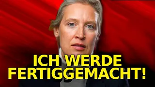 "Gejagt Von Den Medien!" - Alice Weidel's HILFERUF!