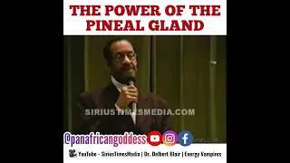 The Power Of The Pineal Gland - Dr. Delbert Blair | Energy Vampires