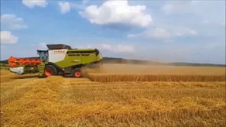 CLAAS LEXION 660,MEGA 218- žně 2019