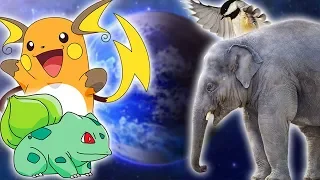 Animals and Pokémon: A Deeper Connection - TheCartoonGamer