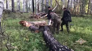 В Иркутской области сотрудники полиции и ФСБ предотвратили крупномасштабные рубки леса