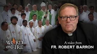 Bishop Barron on The Last Acceptable Prejudice