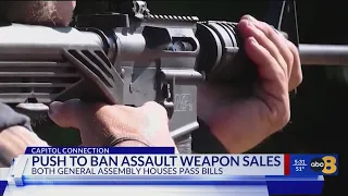Virginia Senate, House pass bills which would ban assault weapons