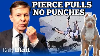 ‘Ban them NOW!’ Andrew Pierce reacts to shocking American Bully XL attack