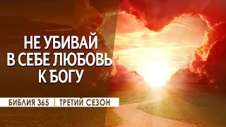 #206 Не убивай в себе любовь к Богу - Алексей Осокин - Библия 365 (3 сезон)