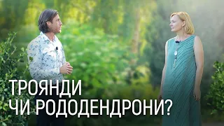 ЛАНДШАФТНИЙ ДИЗАЙН | РОСЛИНИ ДЛЯ СОНЦЯ ТА ТІНІ В САДУ