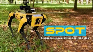 Robo-Dog reminds park goers to maintain social distancing