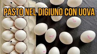 🇮🇹 Pranzo Completo nel Digiuno con le Uova