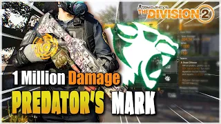 The Division 2 | DESTROY YOUR ENEMIES ARMOR WITH THIS BUILD | Insane DPS Solo Build