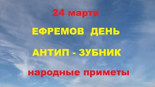 24 марта-ЕФИМОВ ДЕНЬ,Антип-зубник,Софрон.