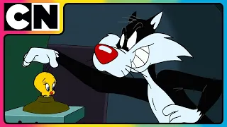 Looney Tunes  - At The Bird Museum | Cartoon Network Show