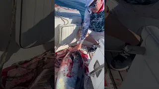 Tuna, 45 kg, Lega