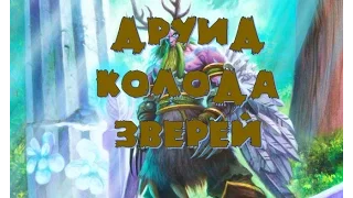 Hearthstone колода Друид на зверях