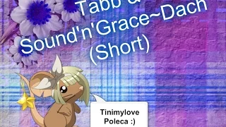 Tabb & Sound'n'Grace~Dach (Short)