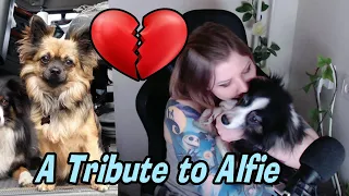 I Have Sad News | A Tribute To Alfie