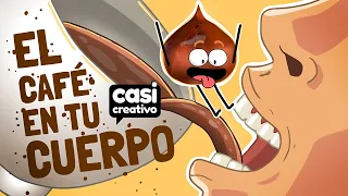 Dentro de tu cuerpo cuando bebes café | Casi Creativo