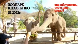 THAILAND 🇹🇭 "KHAO KHEO" ZOO. Что с ним стало? ПаТТайские Каникулы. 15.01.2022г