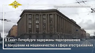 Ирина Волк: В Санкт-Петербурге задержаны подозреваемые в мошенничестве в сфере страхования