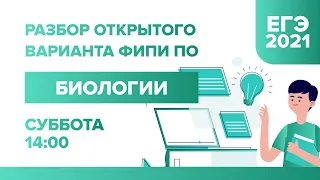 Разбор открытого варианта ФИПИ по Биологии ЕГЭ - 2021 | УМНИКУМ