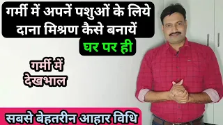 गर्मी में गाय भैंस को क्या खिलाएं garmi me cow buffalo ko kya khilaye गर्मी में पशुओं की देखभाल