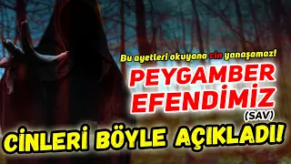 CİNLERİ PEYGAMBER EFENDİMİZ (sav) BÖYLE AÇIKLADI! | MEĞER HEPİMİZ..