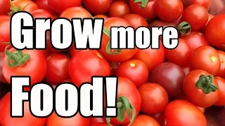 Top 6 New Ways We Grew More Food in 2015!