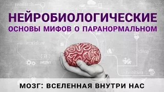 Александр Панчин «Нейробиологические основы мифов о паранормальном» с картинками