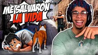 Mis mascotas *ME SALVAN la VIDA* de forma INCREIBLE!! 😵 Gta V Roleplay #RDjavi