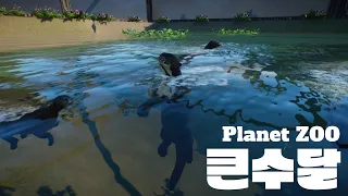 (Planet Zoo) 플래닛주 큰수달 / 자이언트 수달