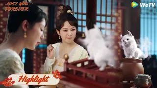 Jing makes Xiaoyao angry, sends a cute little fox to make her happy💖Lost you forever