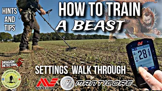 Metal Detecting UK  | Minelab Manticore Settings | Tips And Tricks | #tips #minelab