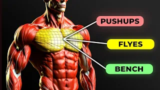 Most EFFECTIVE Chest Exercises Ranked