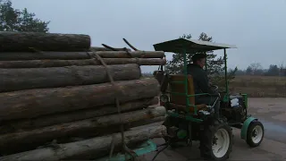 Заготовка дров. Как мой трактор тянет прицеп)