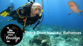 Shark Diving & Shark Feeding - Nassau, Bahamas