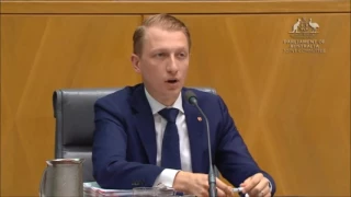 Senator Paterson questions Gillian Triggs on the QUT 18C case