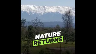 Nature Returns