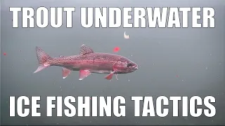 Trout Underwater: Ice Fishing Tactics