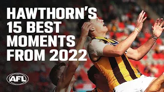 Hawthorn's 15 best moments from 2022 | AFL
